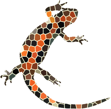 firebelly newt image for the newtfire.org Digit DH lab
